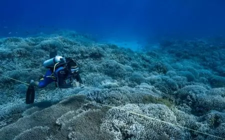 U.N. adopts first-ever treaty to govern the lawless high seas