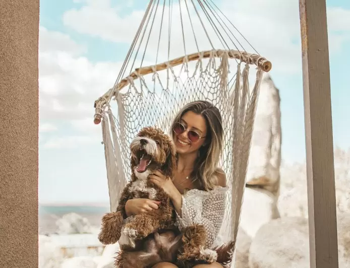 Our furry friends and faithful companions