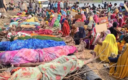 ग्यारह दिन के जन आंदोलन का नतीजा बेअसर, केन बेतवा नदी गठजोड़ से प्रभावित उजाड़ होते जंगल मे चिता पर.....