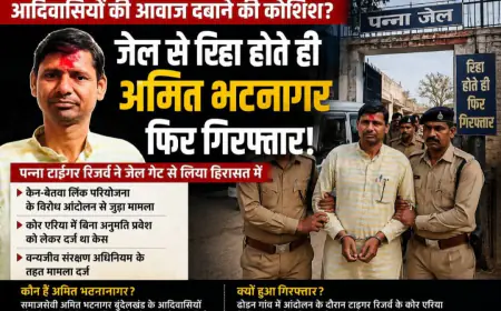 अजयगढ़ जेल से रिहाई मिलते ही पुनः पन्ना वनविभाग की टीम ने अमित को गिरफ्तार किया