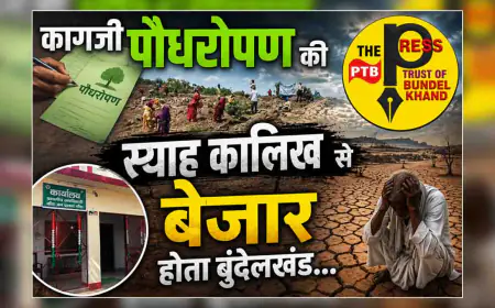 कागजी पौधरोपण की स्याह कालिख से बेजार होता बुंदेलखंड...