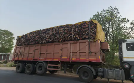 कागजी पौधरोपण की स्याह कालिख से बेजार होता बुंदेलखंड...