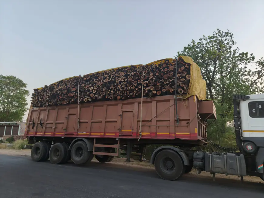 कागजी पौधरोपण की स्याह कालिख से बेजार होता बुंदेलखंड...